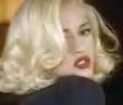 Dave Stewart colabora con Gwen